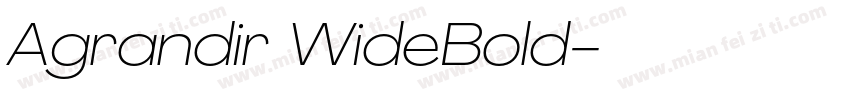 Agrandir WideBold字体转换